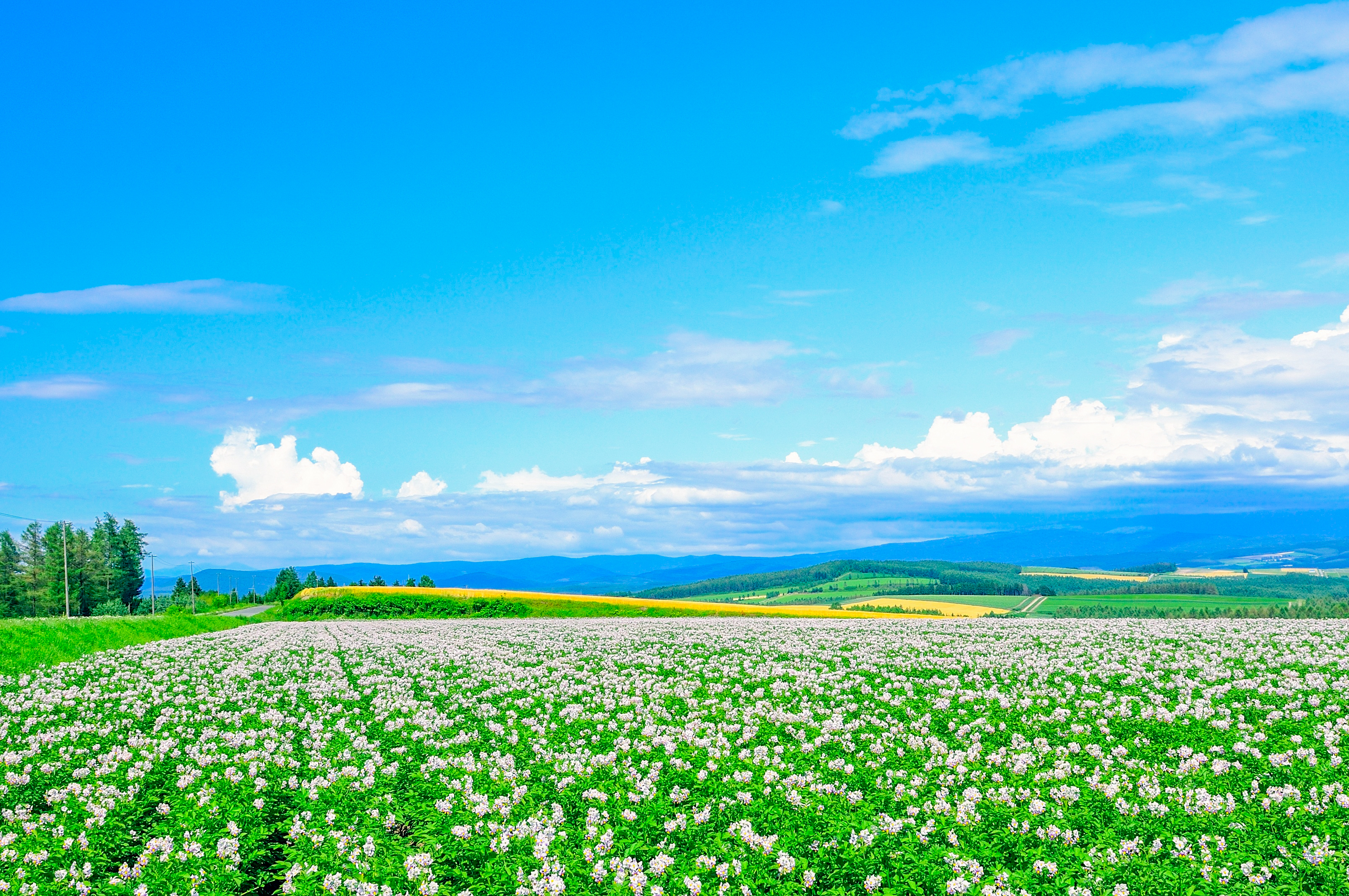 北海道に関する情報