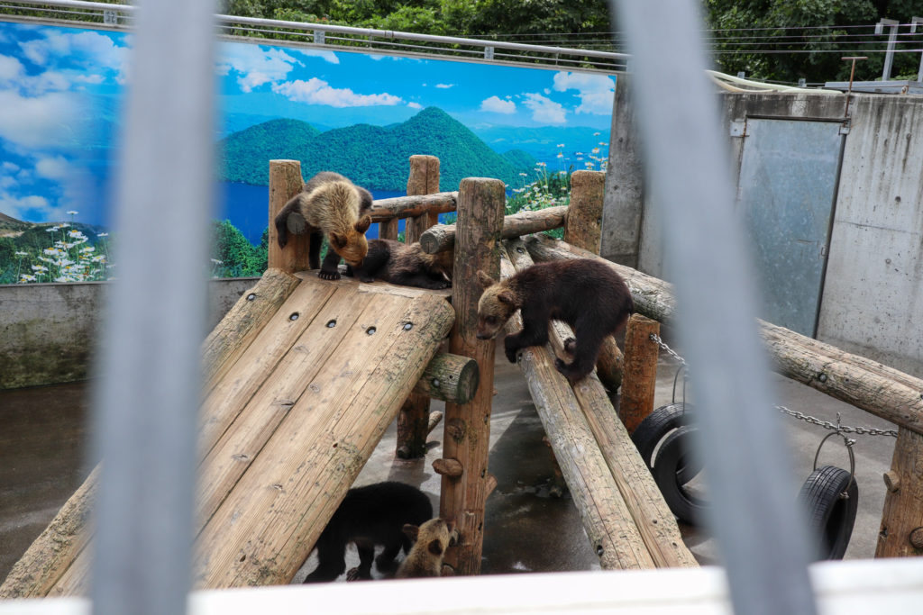 昭和新山クマ牧場